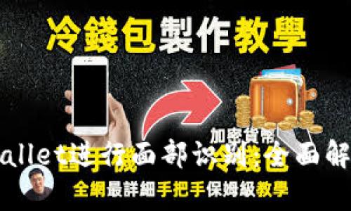 如何使用tpWallet进行面部识别：全面解析与操作指引