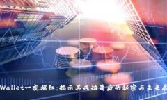 tpWallet一夜爆红：揭示其成