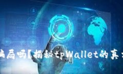 tpWallet是骗局吗？揭秘tp