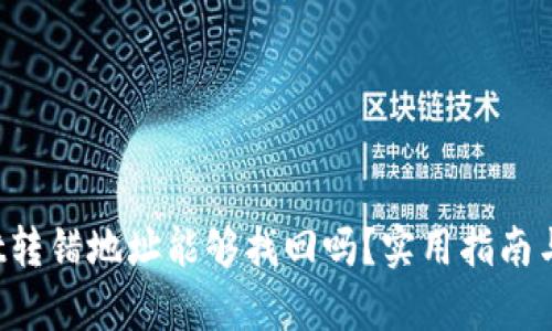  tpWallet转错地址能够找回吗？实用指南与解决方案