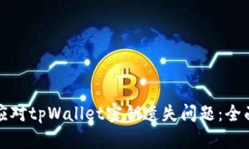 如何应对tpWallet密钥遗失问题:全面指南