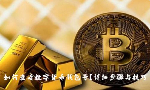如何查看数字货币钱包号？详细步骤与技巧