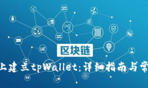 如何在BSC上建立tpWallet：详细指南与常见问题解析